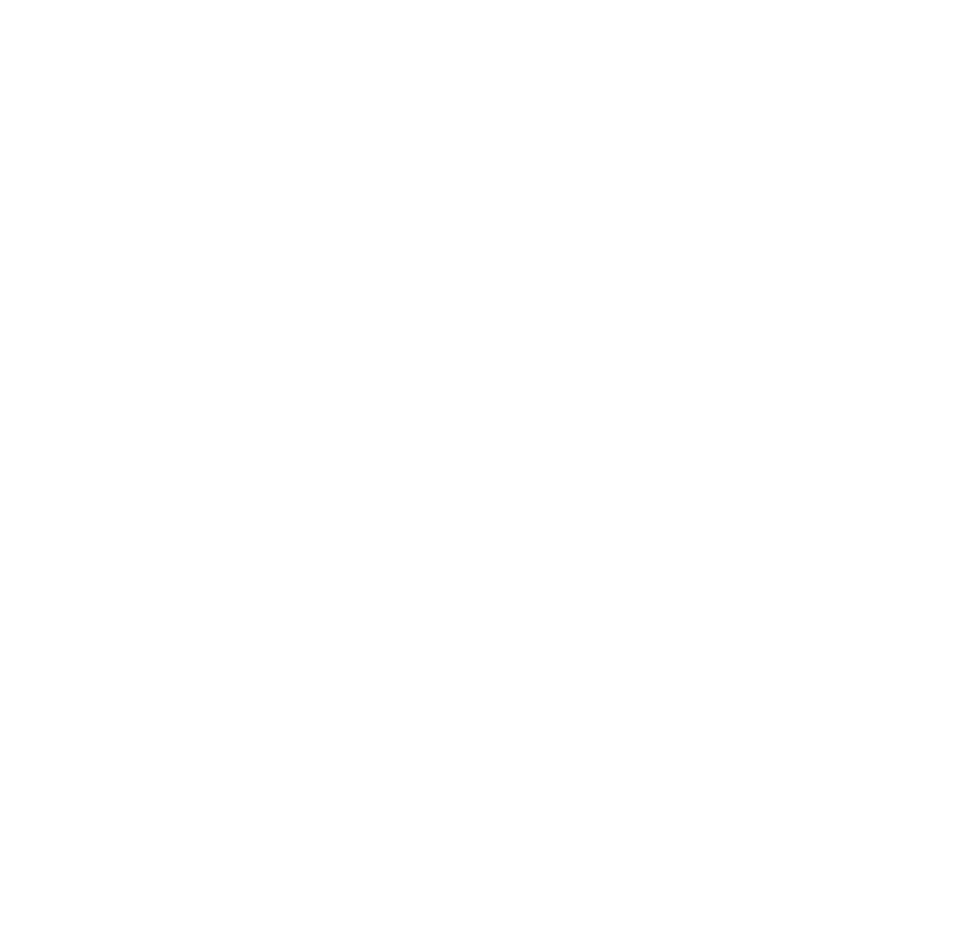 logo LiderShe bez tła